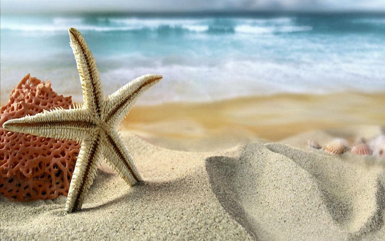 קלירווטר ביץ' Luxury 5 Star Condominium Water Front 3 Beds 2 Bath Pool Hot-Tub Beach And City Views מראה חיצוני תמונה